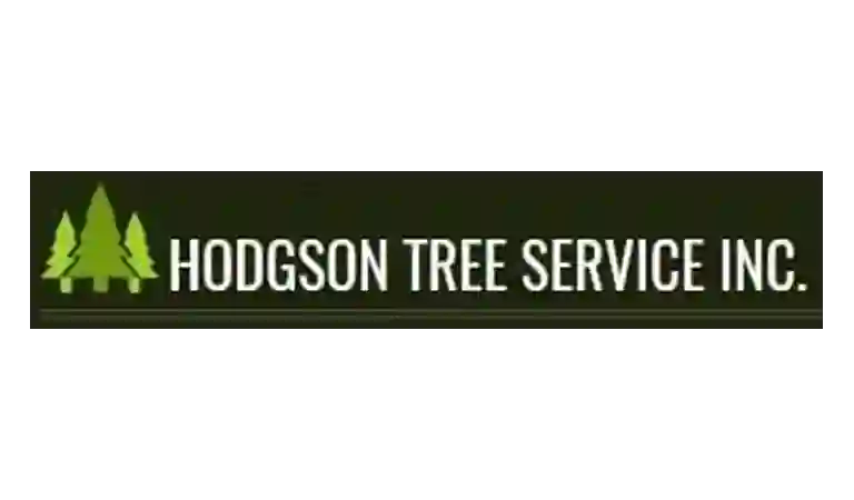 hodgson