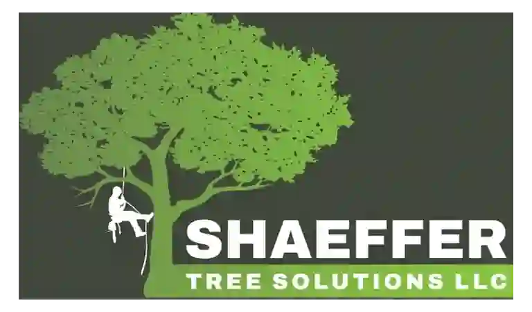 shaeffer