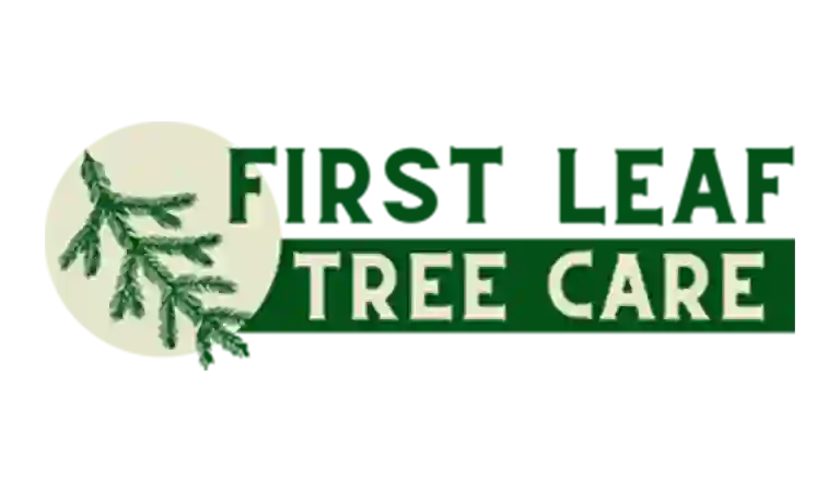 first leaf tree care
