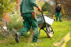 keeping trees and shrubs healthy